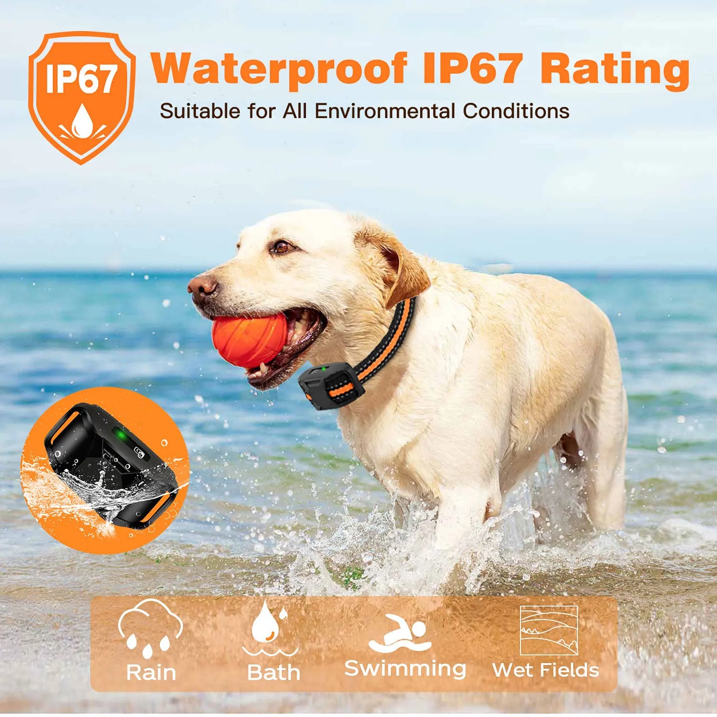 Dog Remote Control Electric Training Collar
