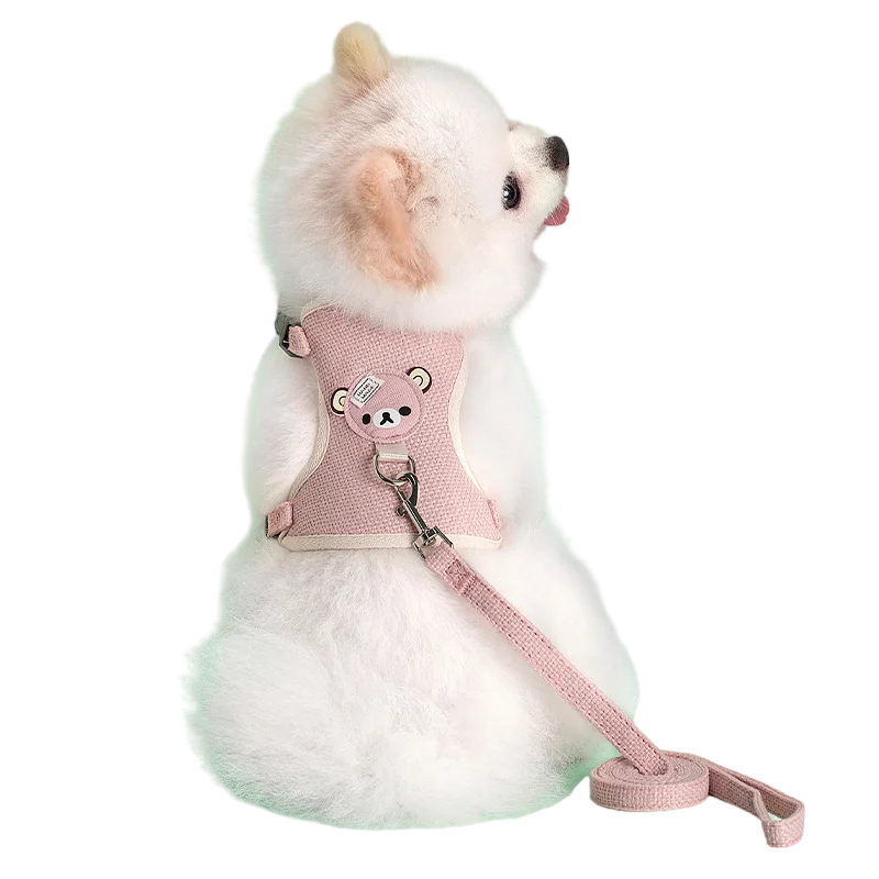 Cute Pet Harness Leash Set