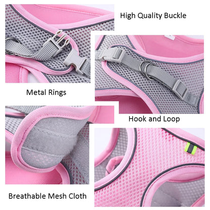 Pet Outdoor Walking Lead Leash Set
