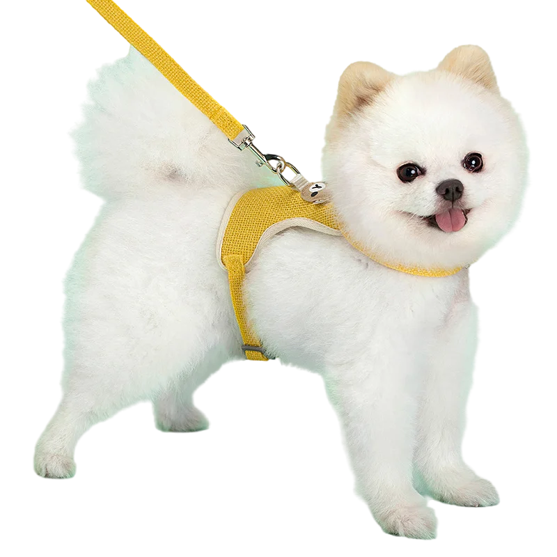 Cute Pet Harness Leash Set