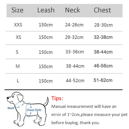 Dog Outdoor Walking Lead Harness Set