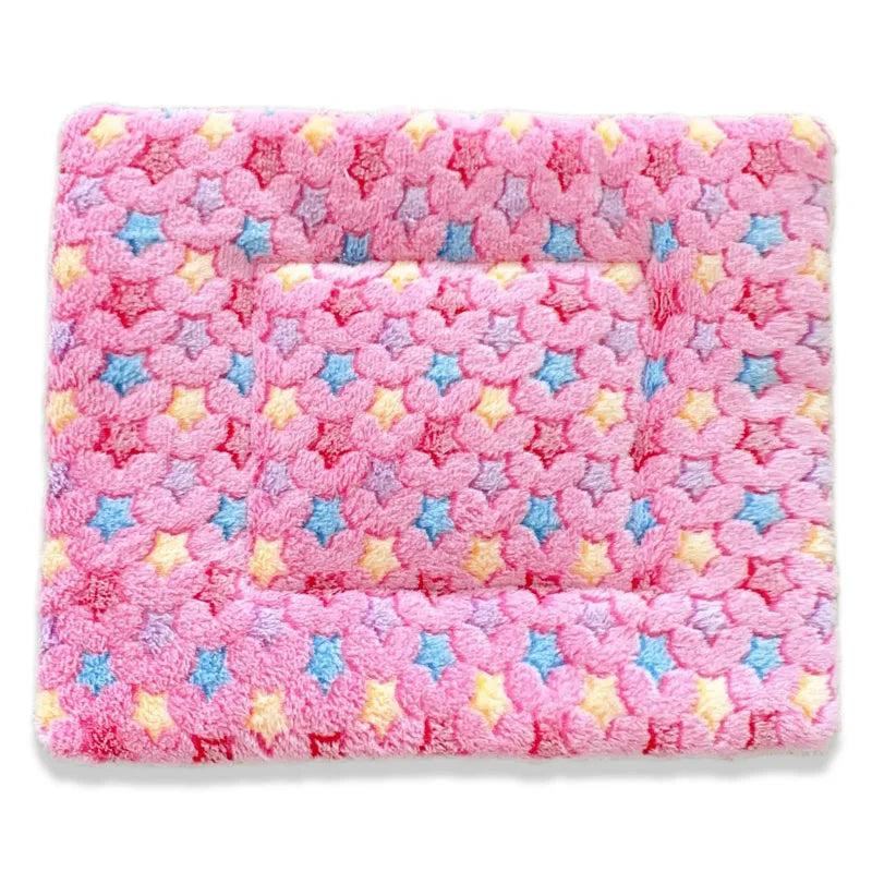 49780737966359|49780738031895|49780738064663|49780738097431|49780738130199|49780738195735