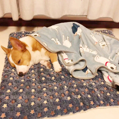 Pet Washable Sleeping Mat