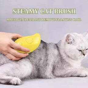 Electric Sprayer Massage Grooming Comb