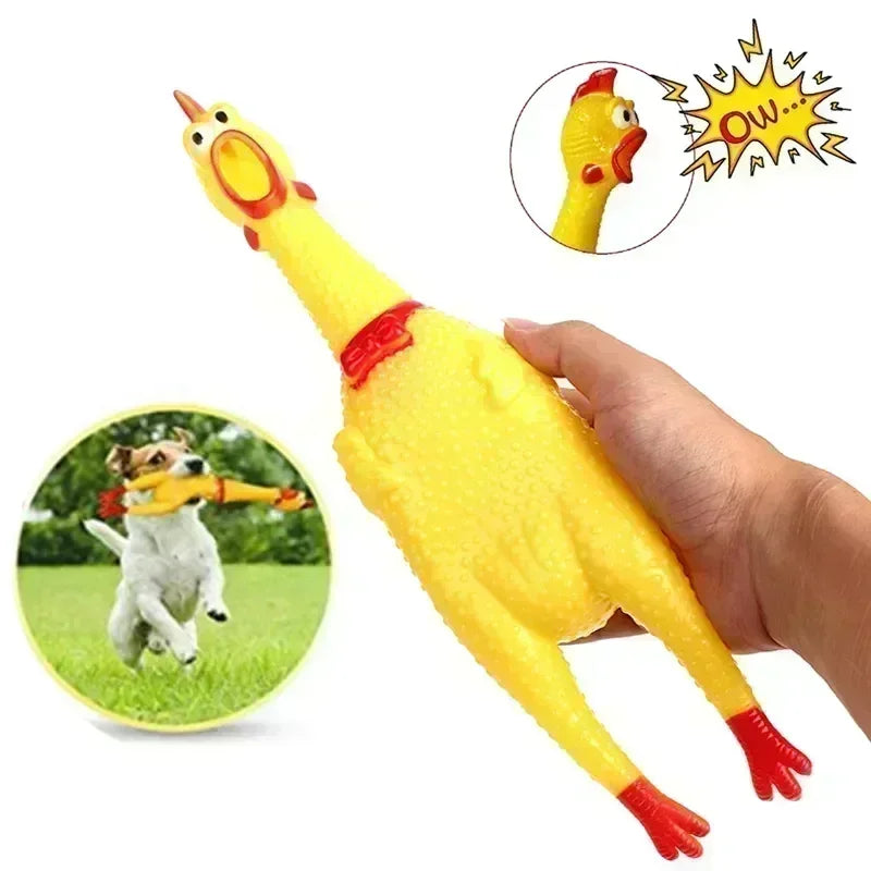 Pet Screaming Chicken Squeak Toy