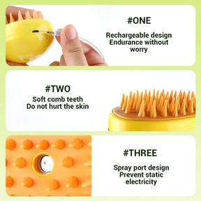 Electric Sprayer Massage Grooming Comb